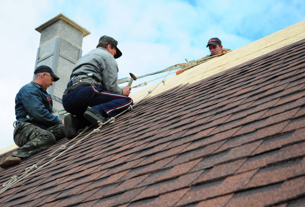 Best Storm Damage Roof Repair  in Monteagle, TN
